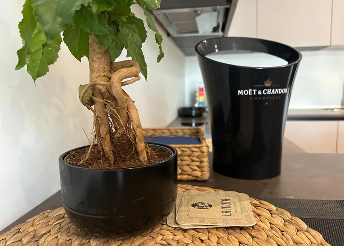 Amedeo's Sea House * Trieste